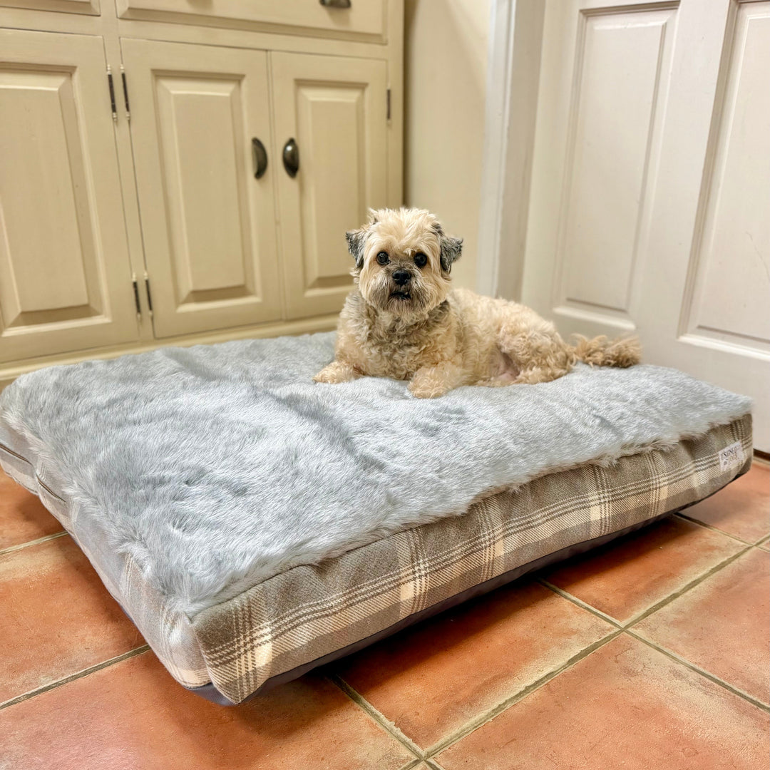 A small fluffy dog lies on a large rectangular pet bed with a gray faux-fur top and a plaid cushioned base, placed on a terracotta tile floor in front of a cream cabinet and door.
