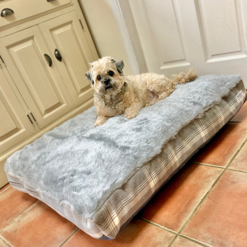 A small beige dog lies on a raised rectangular pet bed with a fluffy light gray top and plaid beige/brown sides placed on a terracotta tile floor in a home interior.