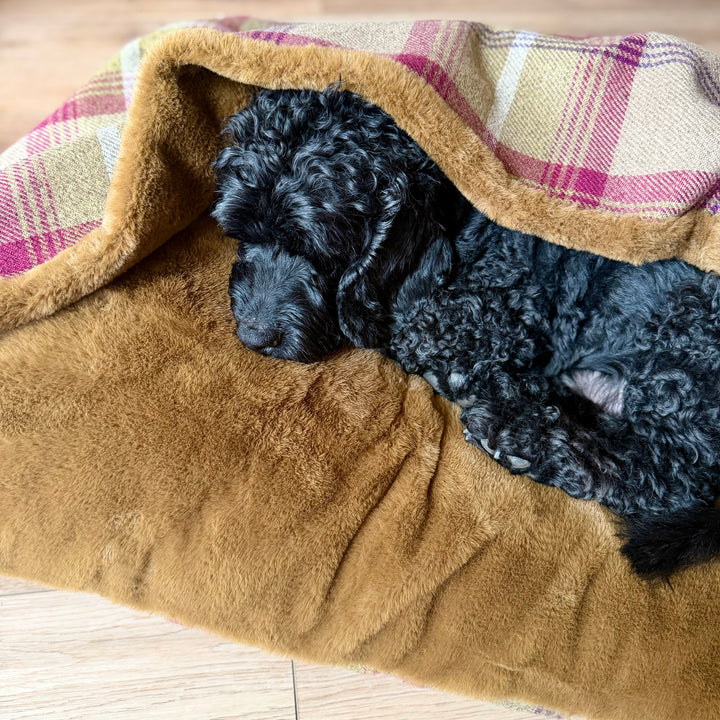 Heather Tartan Doggy Den Bed