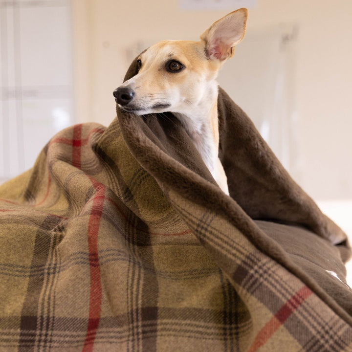 #fleece_chocolate-fur-fleece