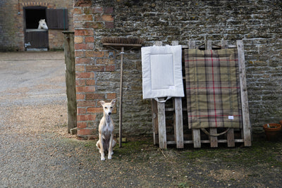 Hunter Tartan Picnic Pads