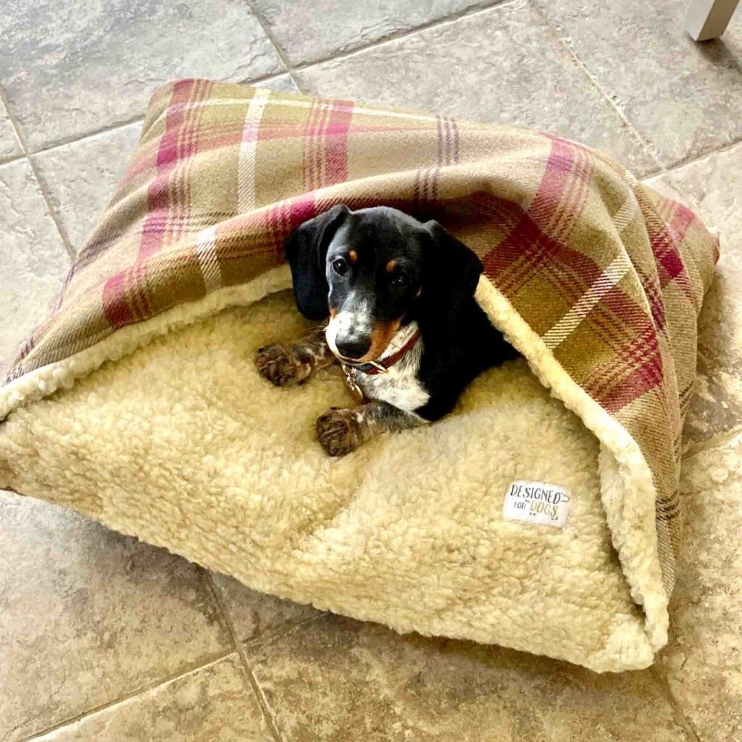 heather doggy den bed 