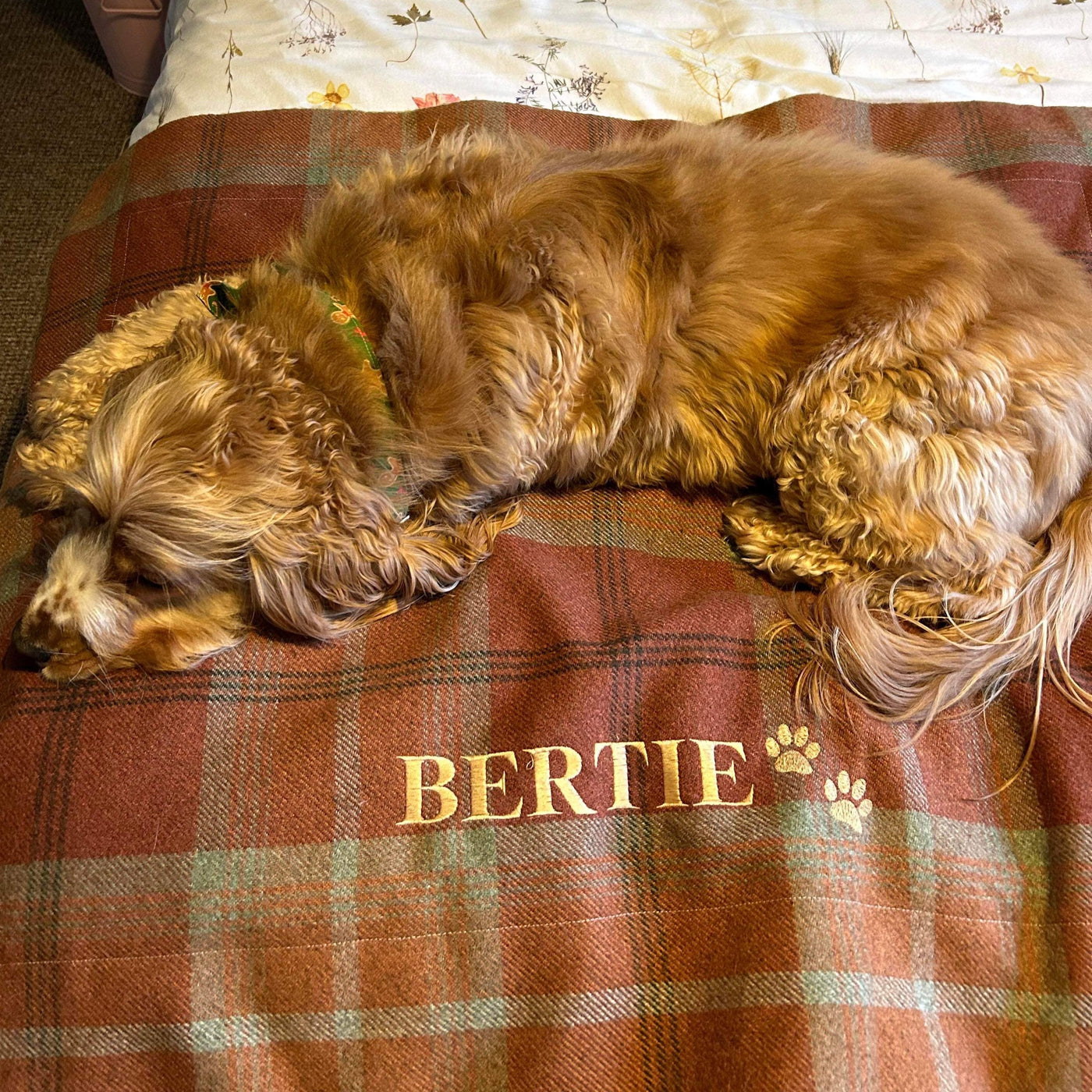 Warm Spice Tartan Blankets