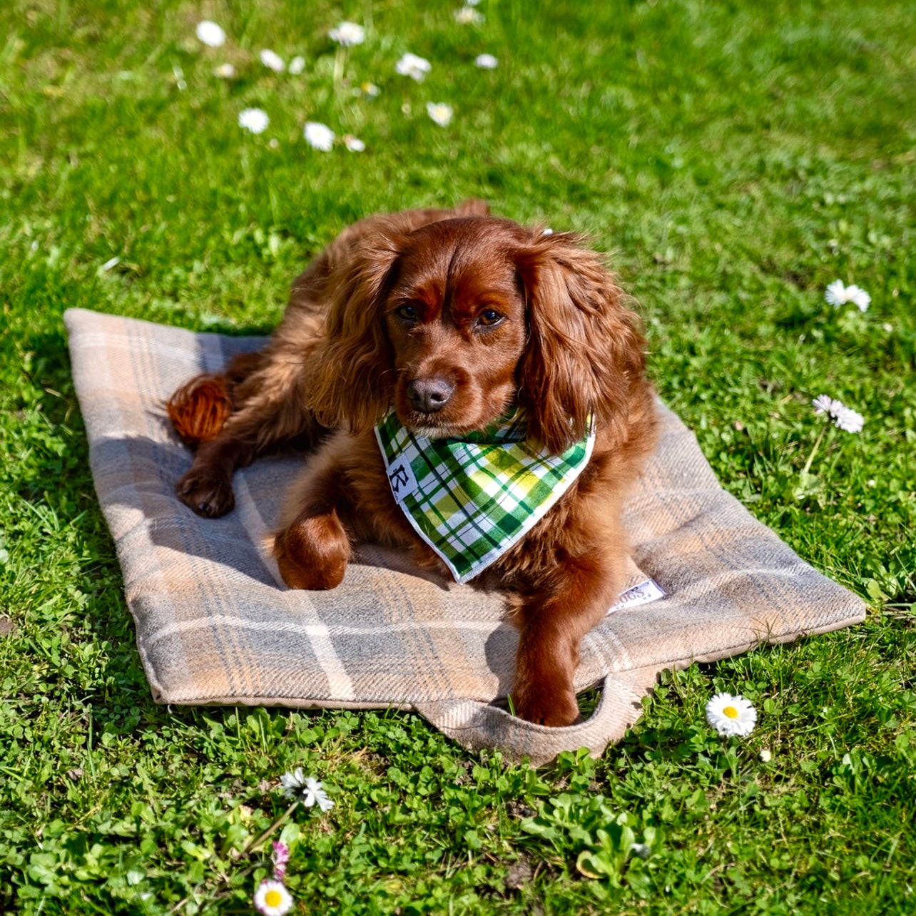 Antique Gold Tartan Picnic Pads