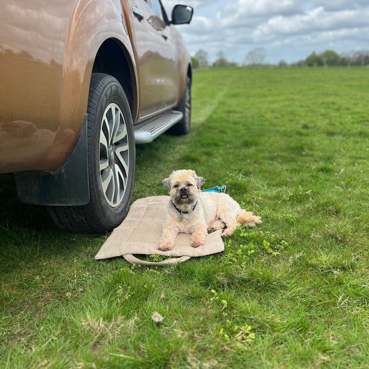 Stone Tweed Picnic Pads