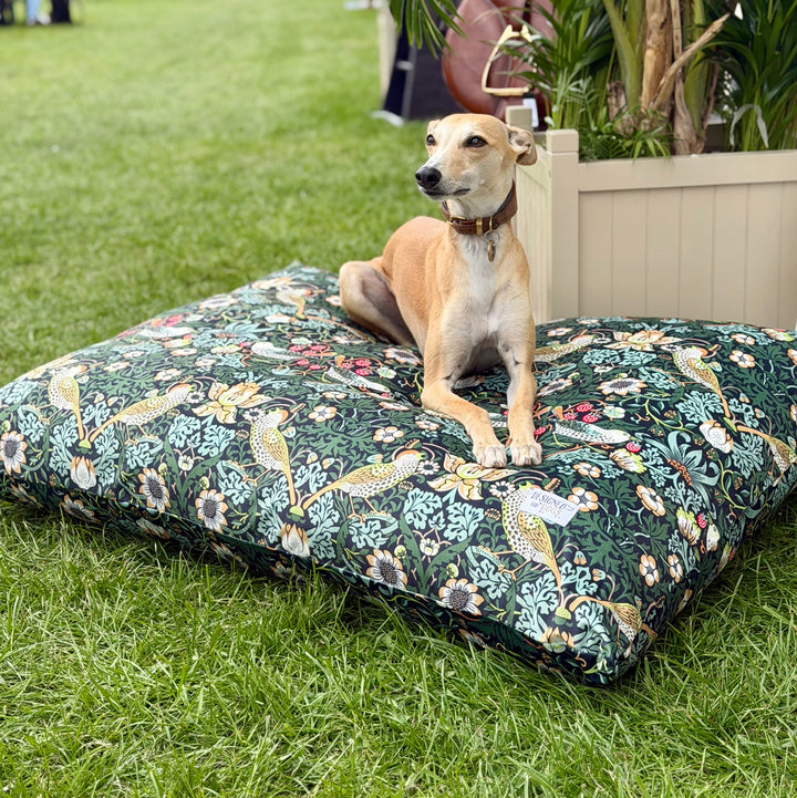 William Morris Ember Strawberry Thief Pillow Dog Beds