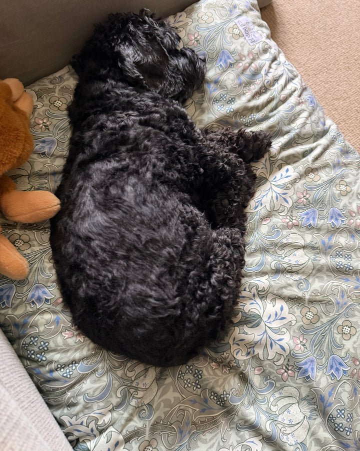 William Morris - Moss Green Golden Lily Pillow Dog Beds