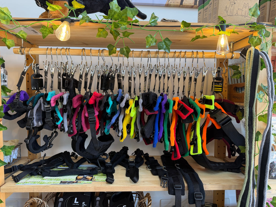 Book Your Perfect Fit Fitting Harness Fitting