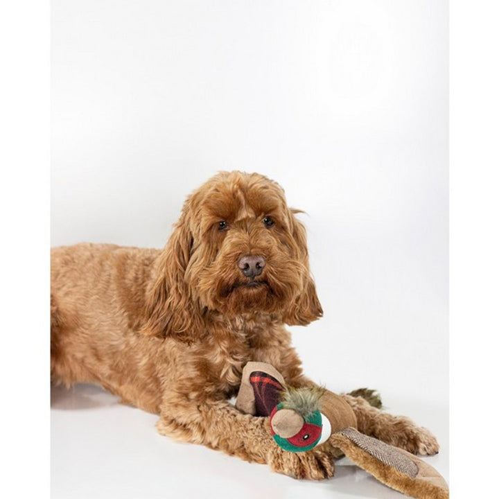 Plush Joules pheasant shaped dog toy placed in front of a brown dog