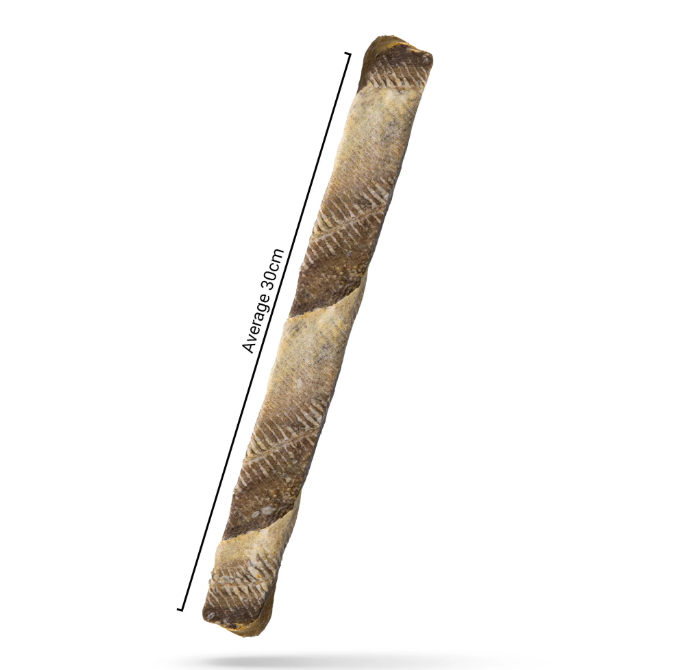 Jumbo Jerky Toothbrush