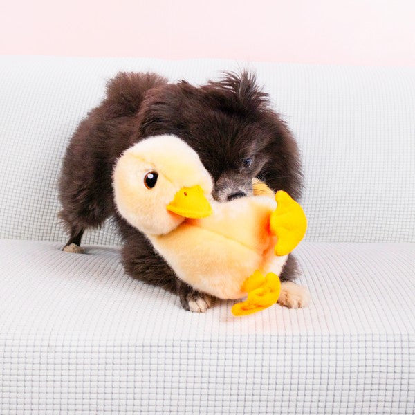 KONG Toughz (Duck)