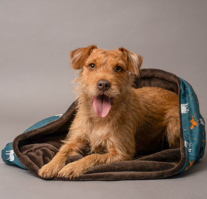Emily Cole Snuggle Sacks
