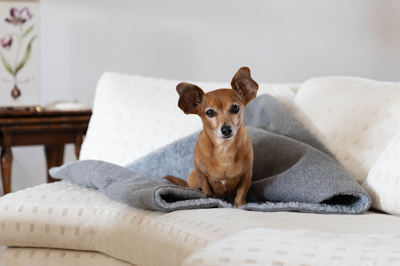 Pewter Tweed Blankets