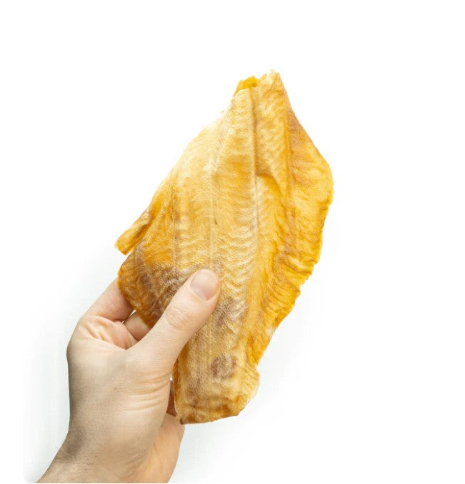 Hand holding a dried plaice fillet 
