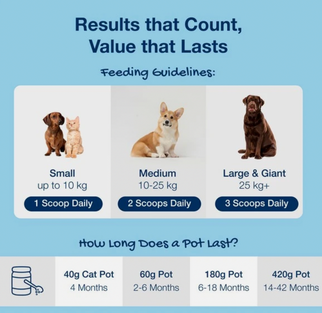 Image shows the feeding guidelines for Plaque Off dog dental powder, including the amount recommended for different size of dogs.