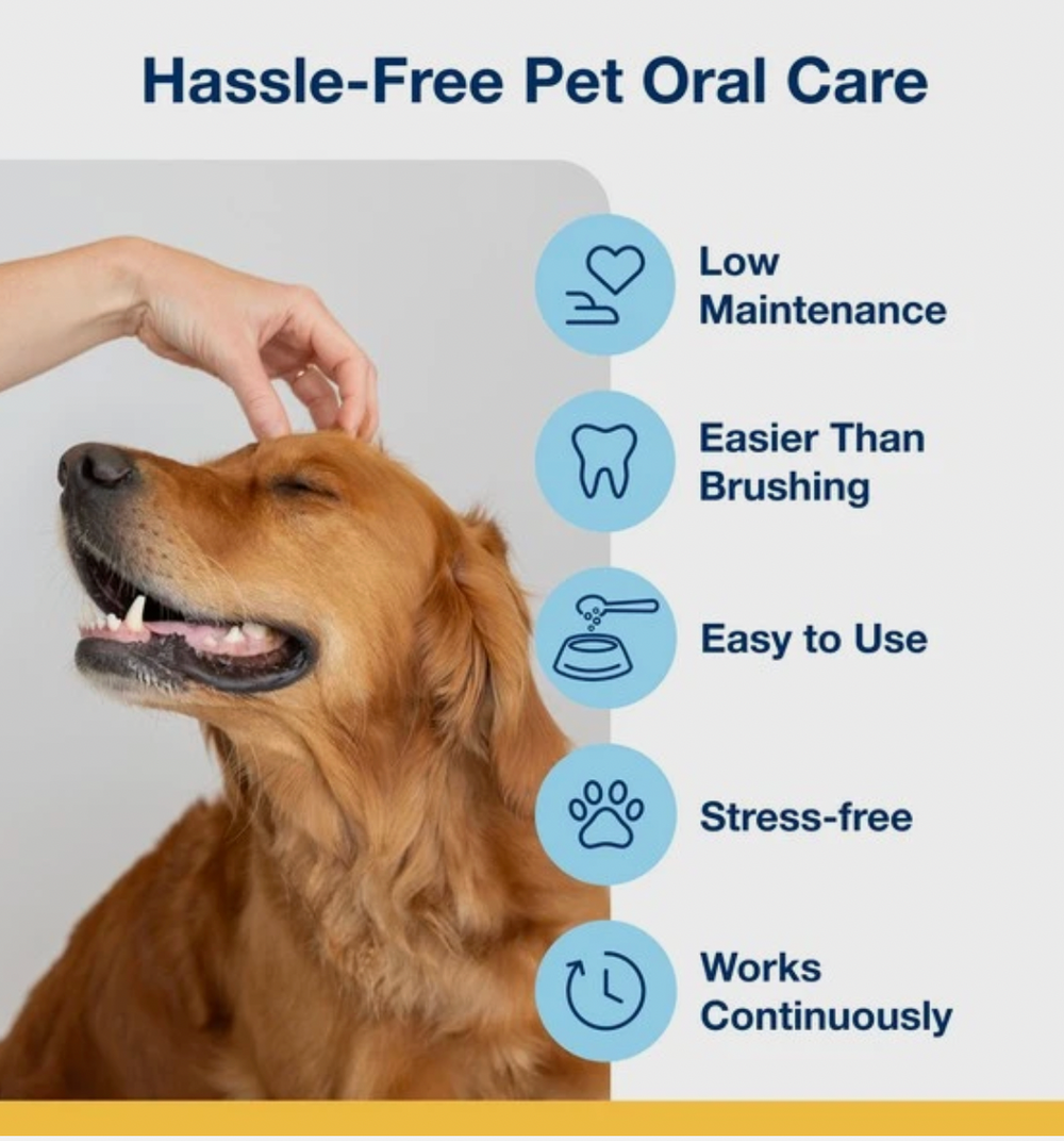 Plaque off dog dental powder positives showing low maintenance, easier than brushing, easy to use, stress-free and works continuously. 