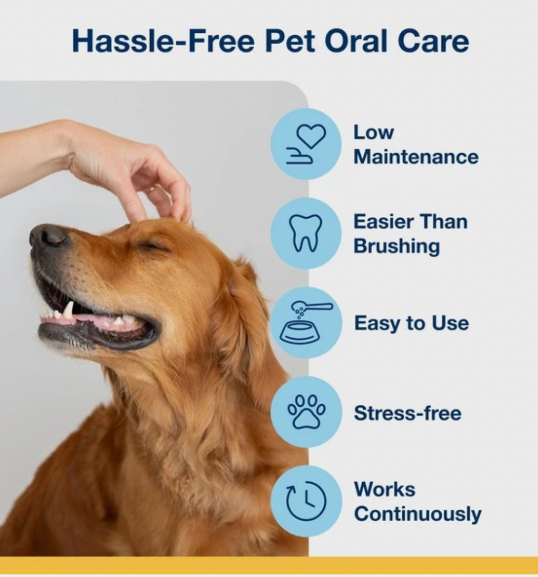 Plaque off dog dental powder positives showing low maintenance, easier than brushing, easy to use, stress-free and works continuously. 