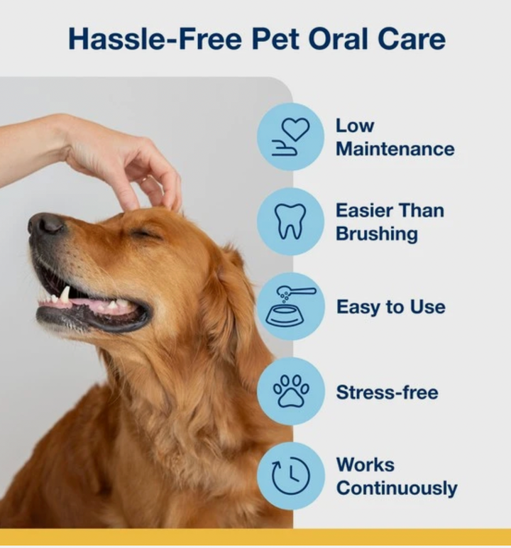 Plaque off dog dental powder positives showing low maintenance, easier than brushing, easy to use, stress-free and works continuously. 