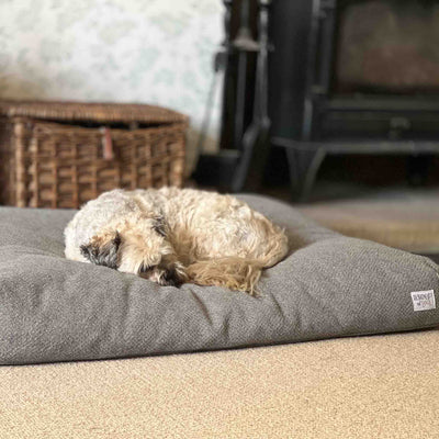 Spare Covers for Mattress Dog Beds