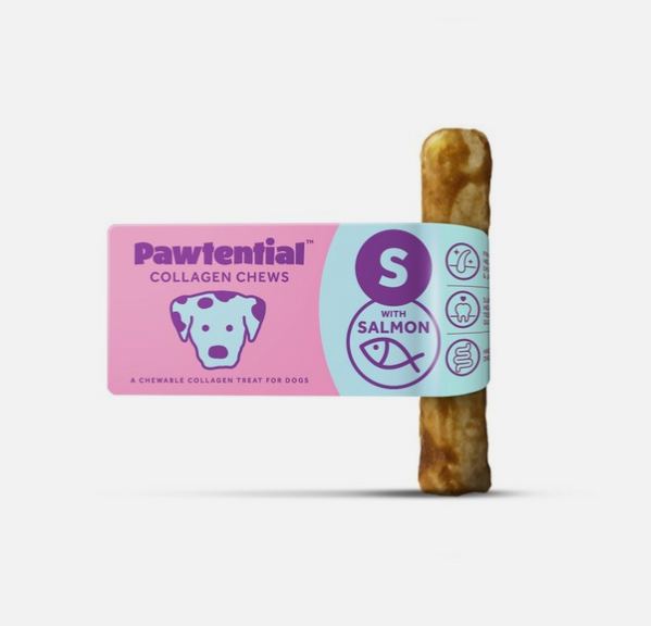 Pawtential collagen chew for dogs with a pink label showing size small and salmon flavouring