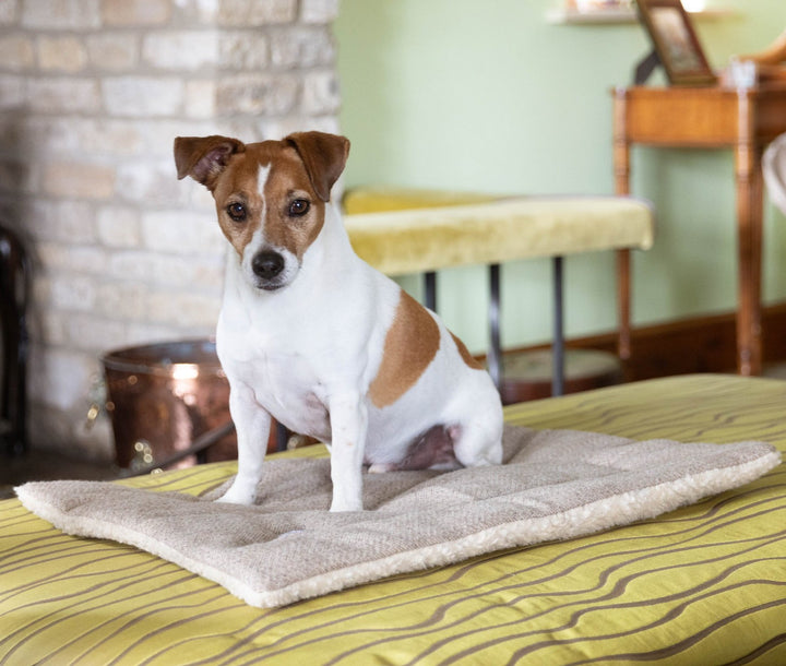 Stone Tweed Mats