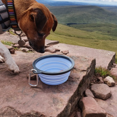 Collapsible Travel Bowls