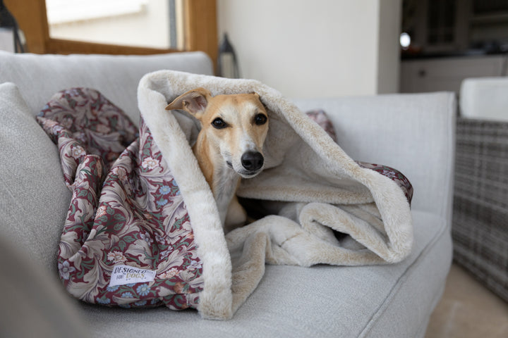 Waterproof Snuggle Sack in William Morris Wine