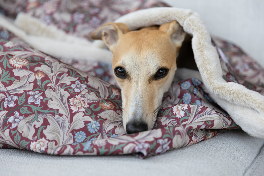 Waterproof Snuggle Sack in William Morris Wine