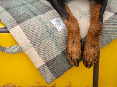 Farmhouse Tartan Picnic Pads