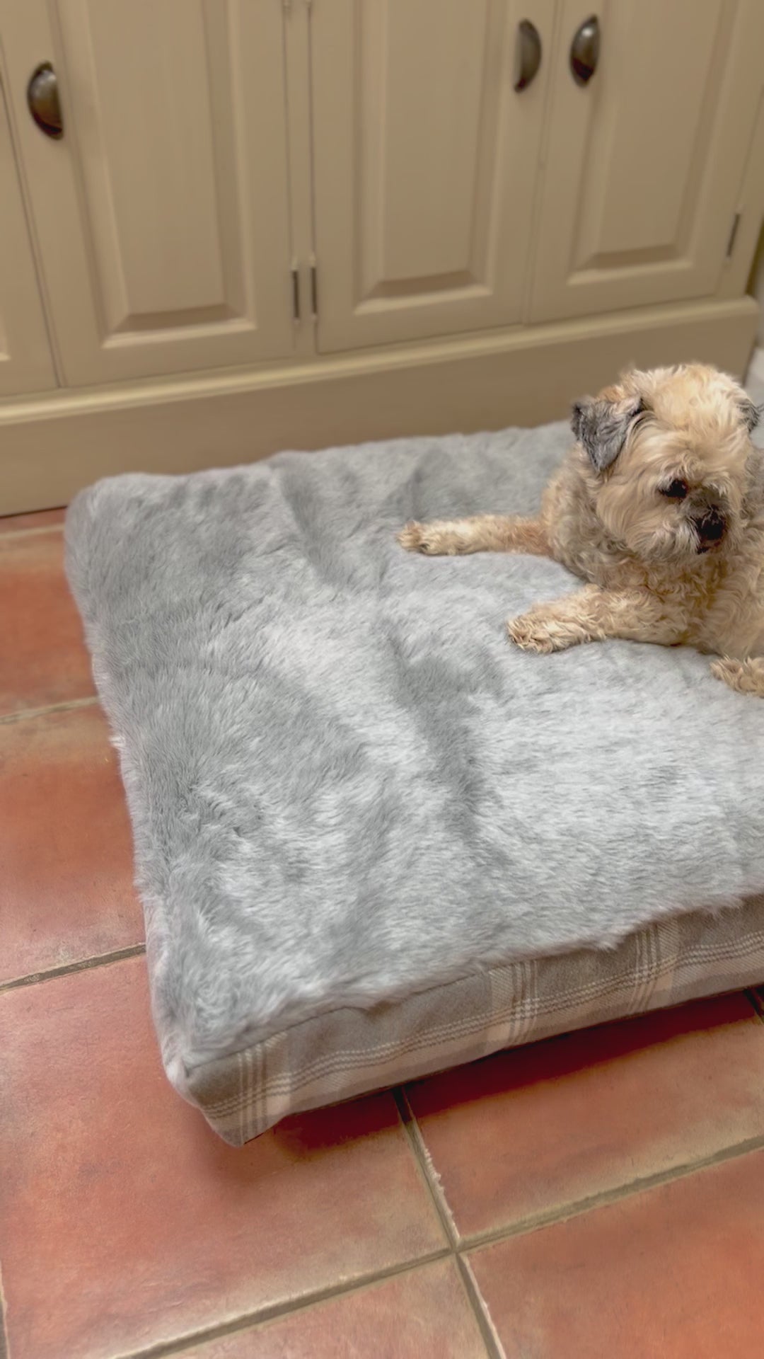 Large Mattress Beds