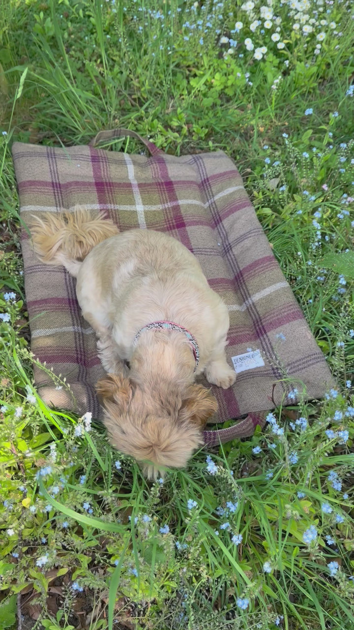 Heather Tartan Picnic Pads