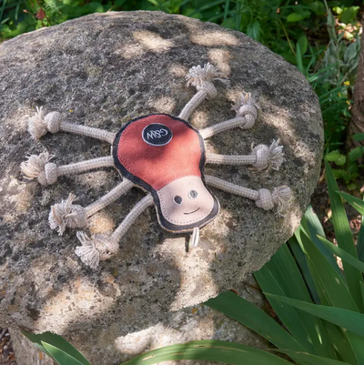 #toy_spike-the-spider