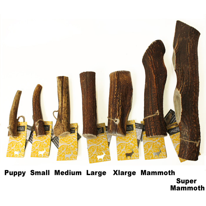 Green & Wild's antler dog chews of varying sizes from puppy to super mammoth