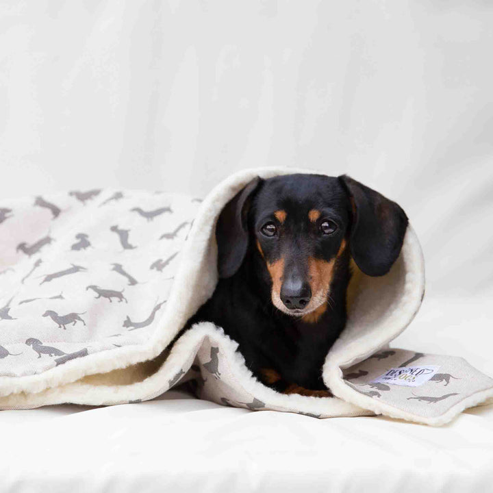 Natural Dachshund Cotton Blanket