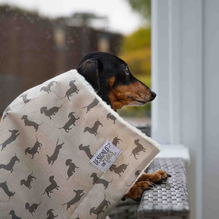Natural Dachshund Cotton Blanket