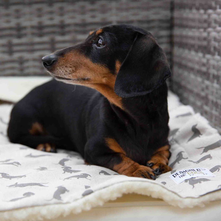 Natural Dachshund Cotton Blanket