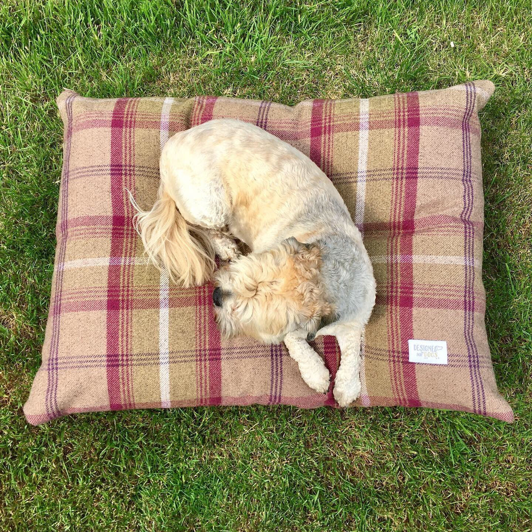 #design_heather-tartan
