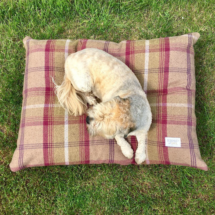 #design_heather-tartan