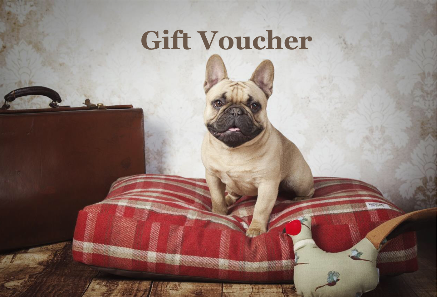 Designed for Dogs Gift Voucher